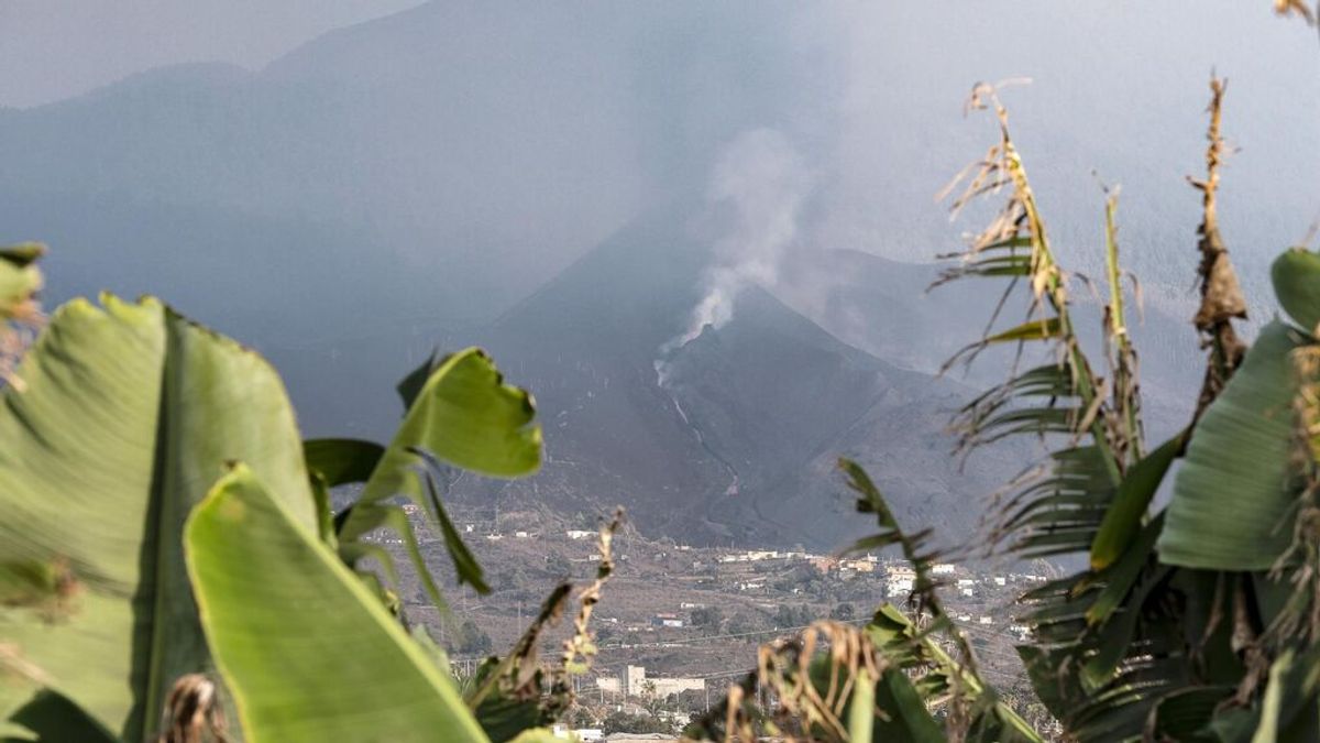 Suspenden las clases en Santa Cruz de La Palma este lunes por la ceniza del volcán