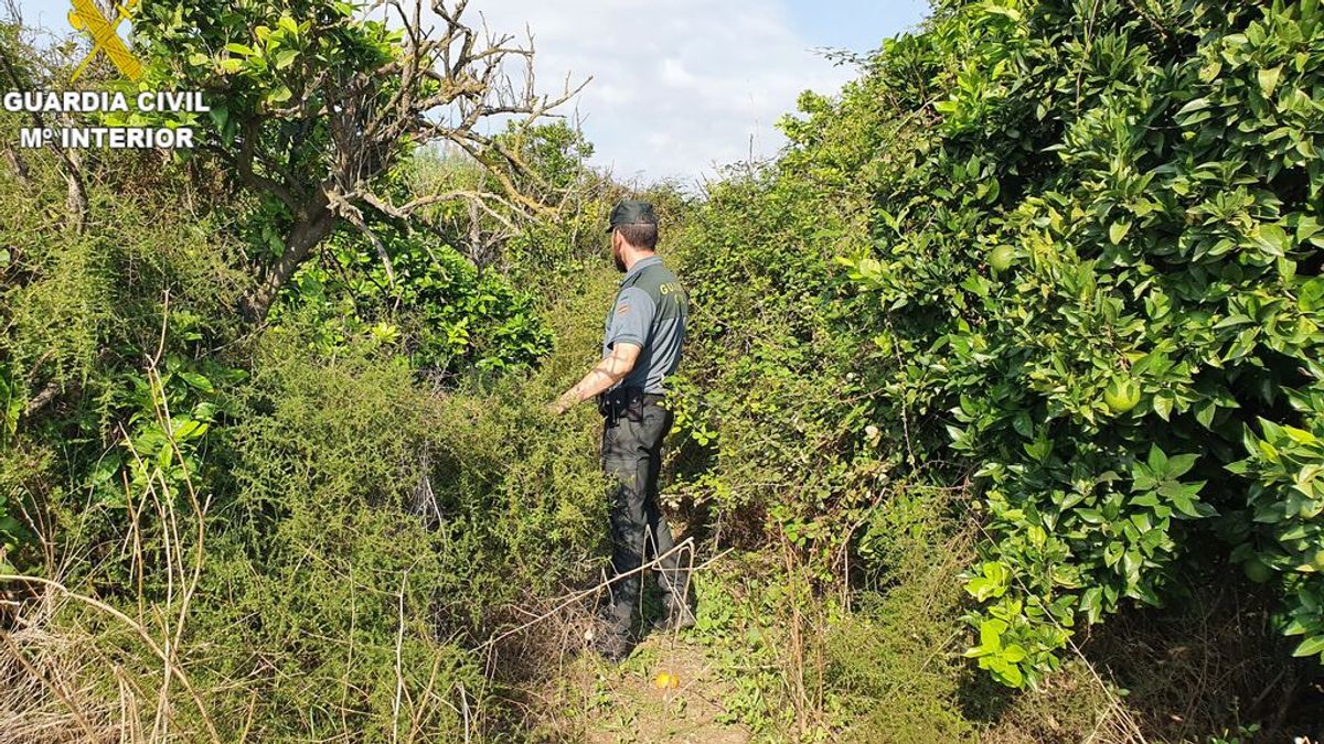 La Guardia Civil localiza a un bebé envuelto en barro y llorando en Valencia La Guardia Civil localiza a un bebé envuelto en barro y llorando en Valencia