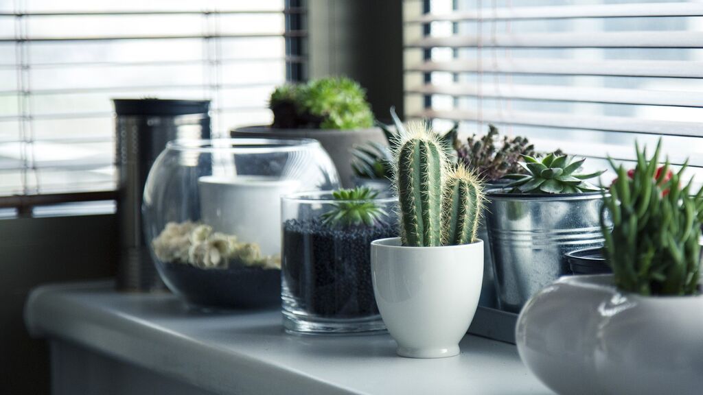 pots-716579_1920