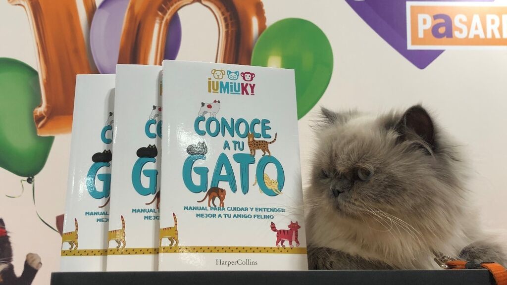 100x100 libro