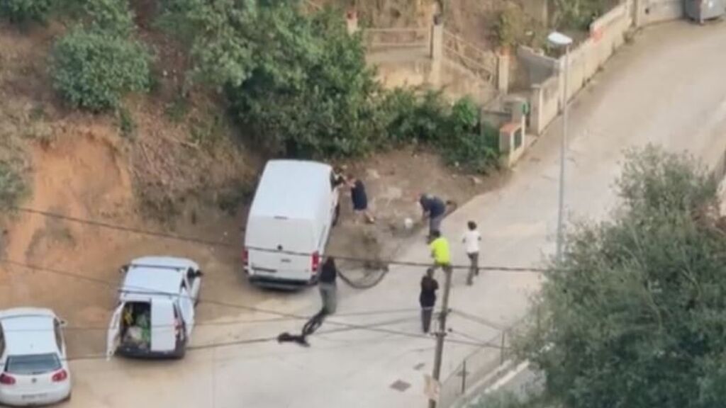 Vecinos de Barcelona denuncian el "sufrimiento" de una familia de jabalíes durante su captura