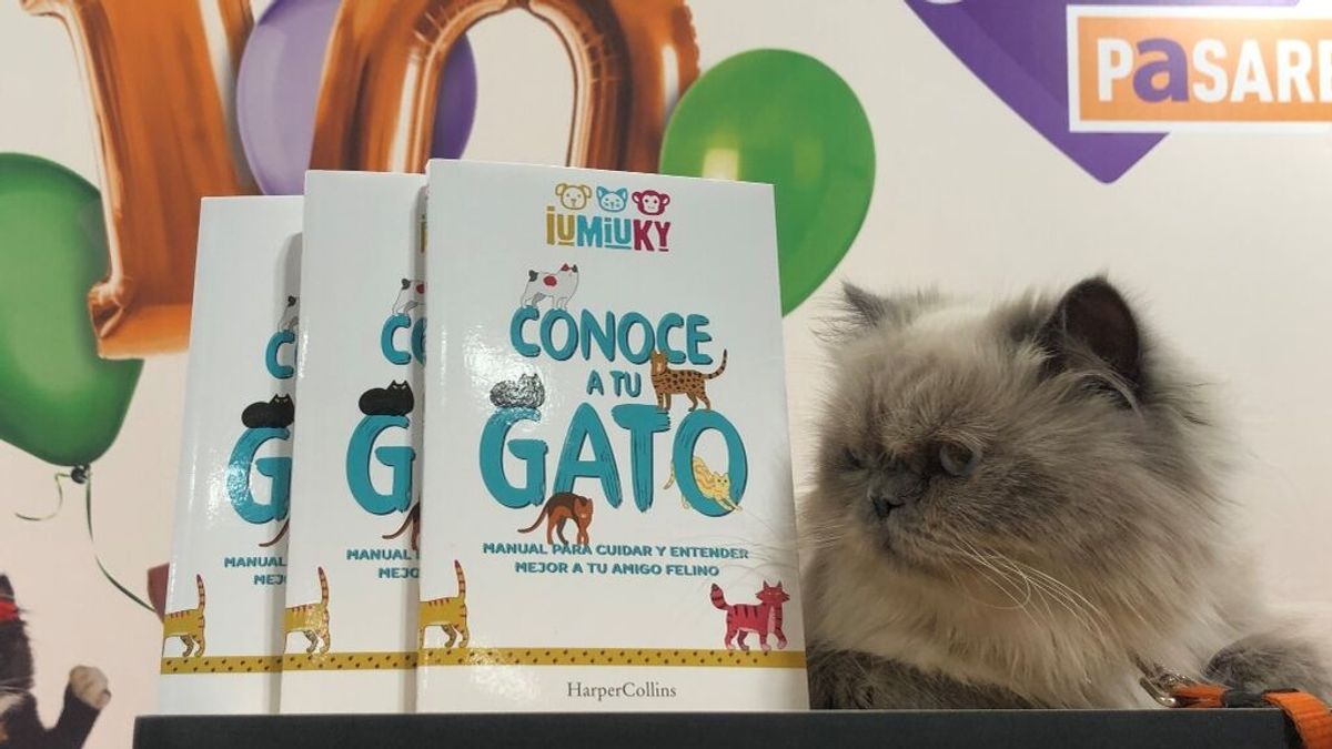 IUMIUKY presenta su primer libro 'Conoce a tu gato' IUMIUKY presenta su primer libro 'Conoce a tu gato'