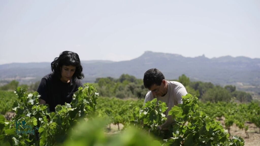 El enoturismo español y el vino inimitable de La Rioja