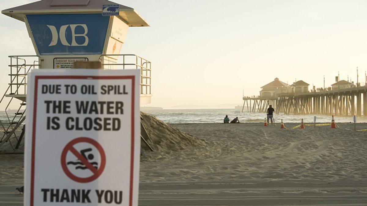 Peces y pájaros están muriendo en masa en la costa de California por un vertido de petróleo