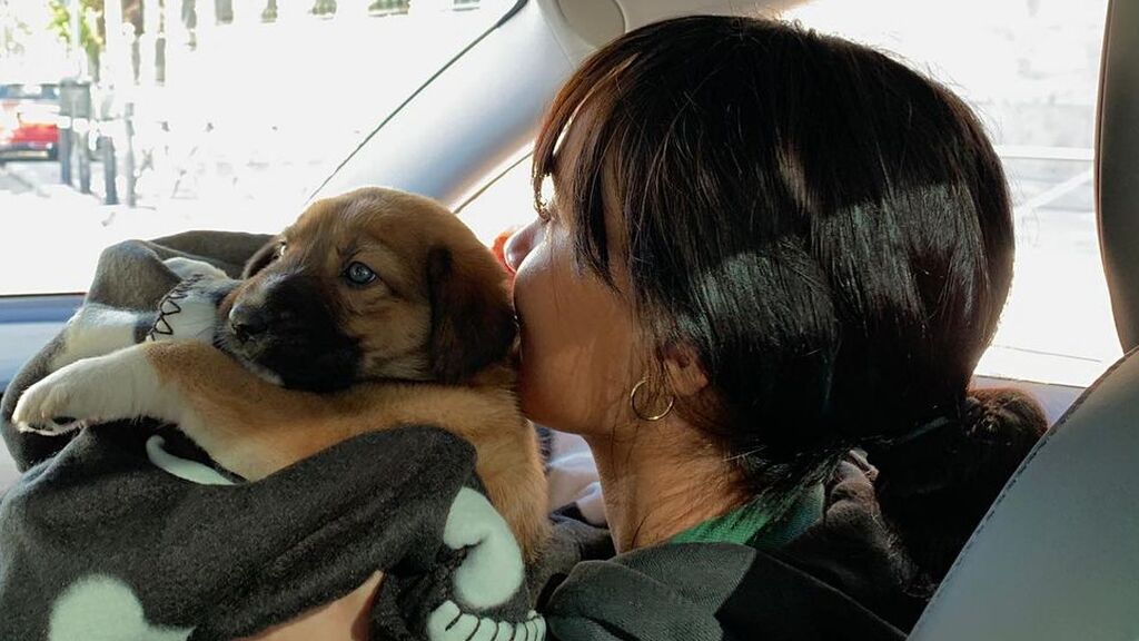 La nueva perrita de Aitana