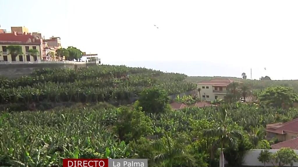 Dos desaladoras llegan a La Palma, última esperanza paro los agricultores