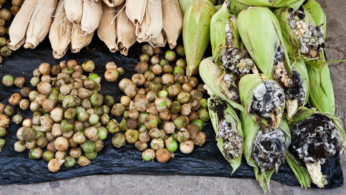 Huitlacoche: qué debes saber sobre este hongo mexicano