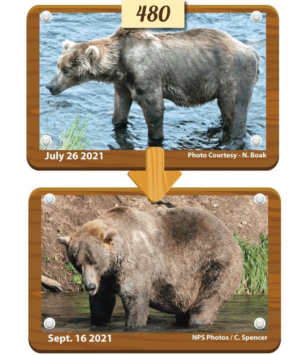 _120879887_480otis_before-after