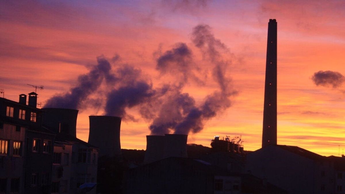 La central térmica de As Pontes se prepara para volver a quemar carbón ante la crisis energética La central térmica de As Pontes se prepara para volver a quemar carbón ante la crisis energética