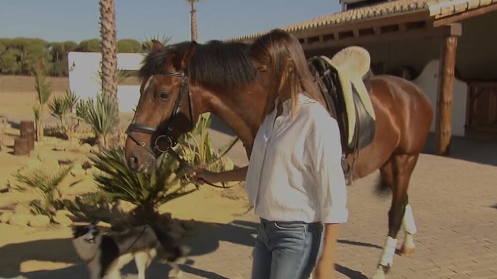 Reacciones a la exclusión en el bono cultural de los toros