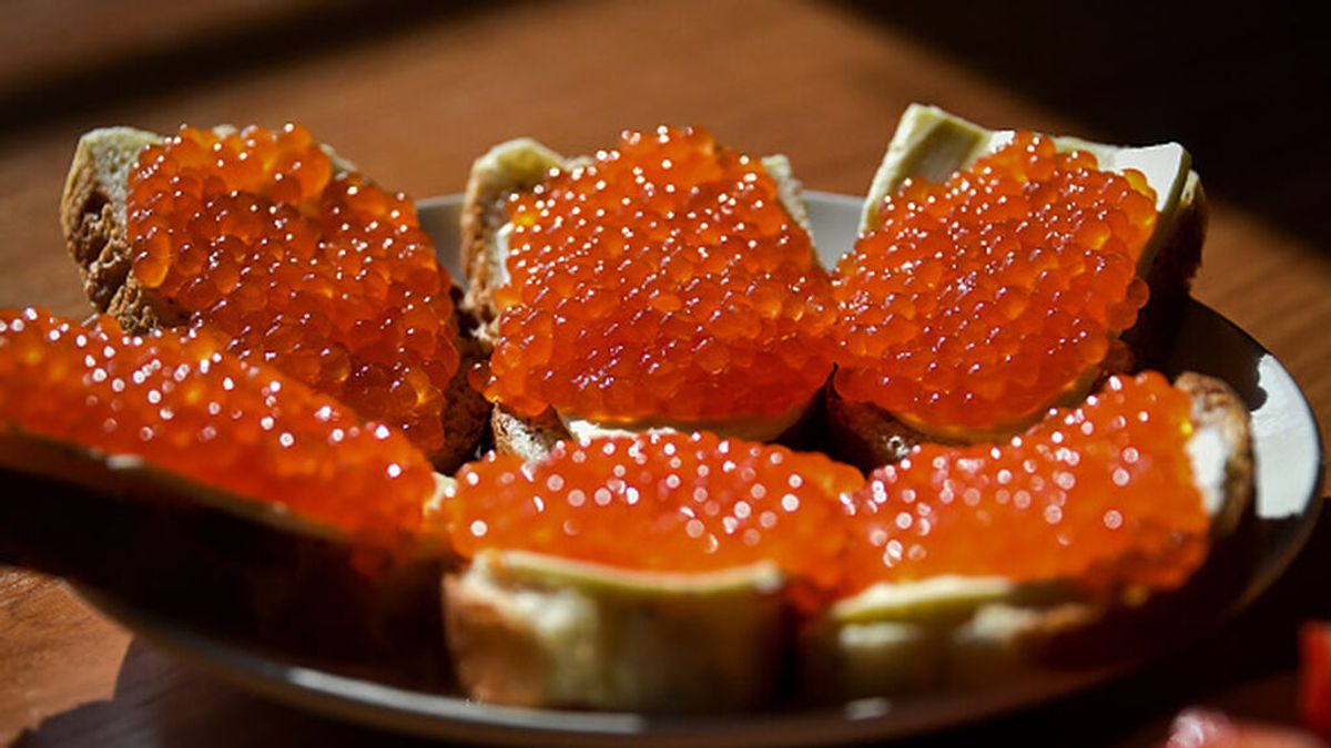 Qué es un "socialista de caviar" y cómo detectarlo en cualquier parte del mundo Qué es un "socialista de caviar" y cómo detectarlo en cualquier parte del mundo