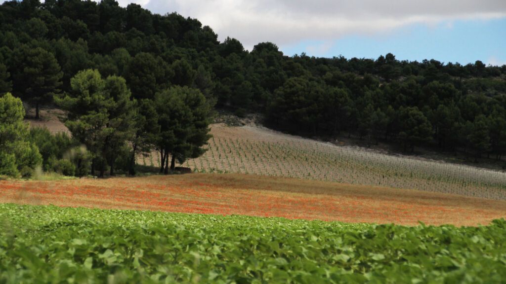 Valbuena de Duero