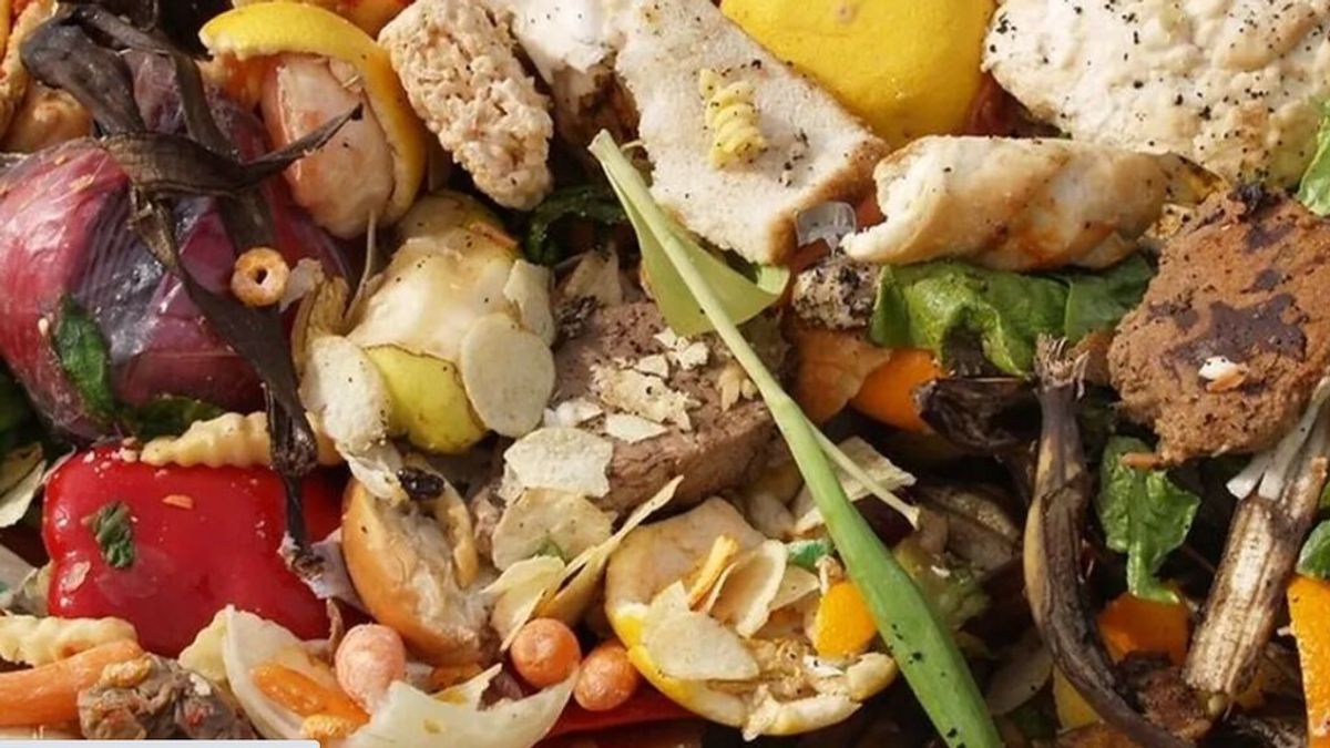 Lucha contra el desperdicio: fomentar la venta de alimentos "feos" y llevarse la comida de los restaurantes