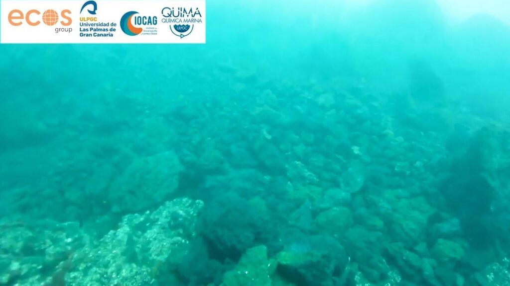 Consiguen las primeras imágenes submarinas del delta lávico de La Palma