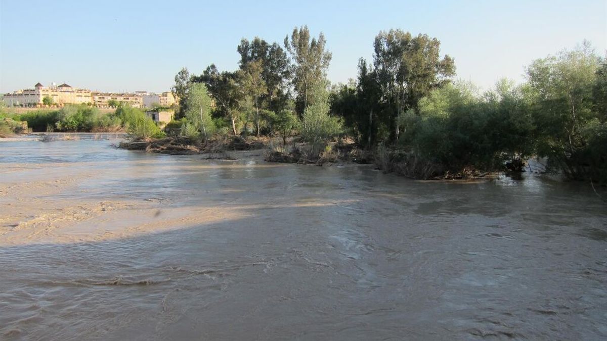 Hallan la cabeza del varón decapitado en Córdoba y la autopsia revela un suicidio Hallan la cabeza del varón decapitado en Córdoba y la autopsia revela un suicidio