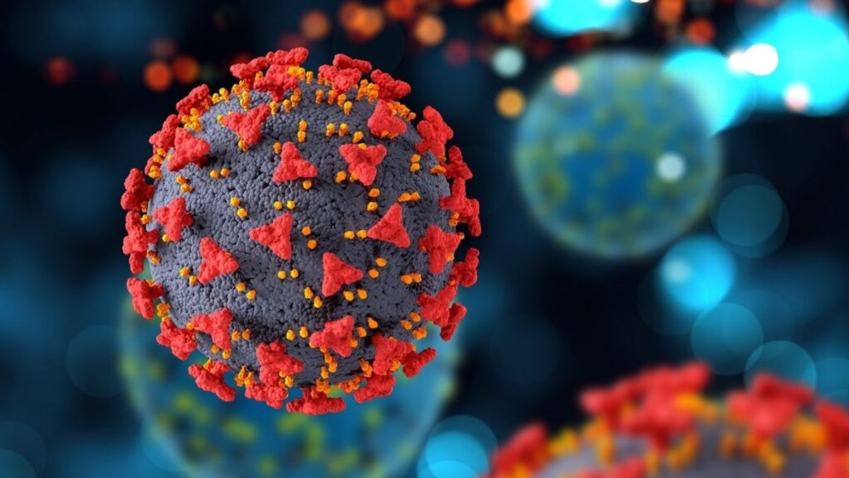 Descubren un nuevo anticuerpo capaz de neutralizar todas las variantes del coronavirus Descubren un nuevo anticuerpo capaz de neutralizar todas las variantes del coronavirus