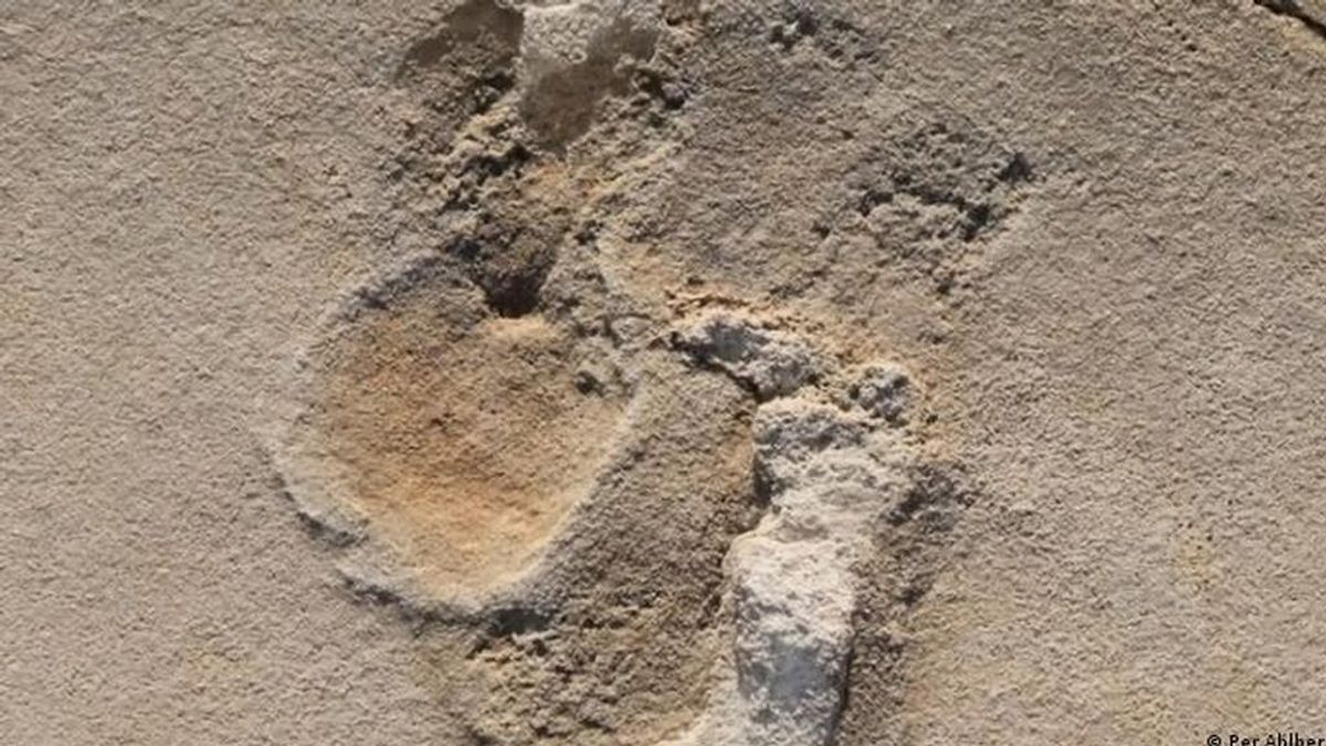 Descubren huellas prehumanas de más de seis millones de años en la isla de Creta
