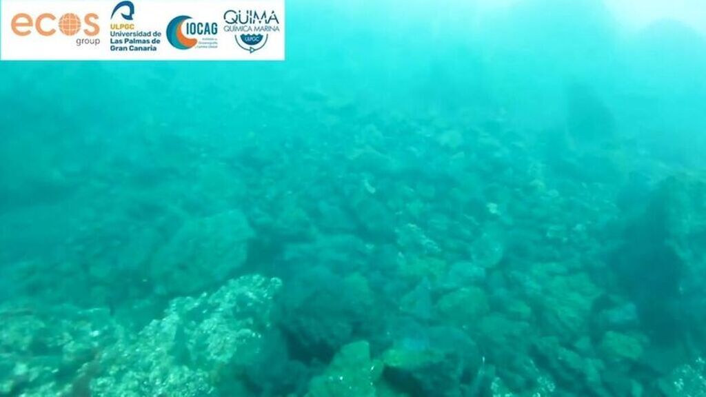 Las primeras imágenes submarinas del delta lávico de La Palma