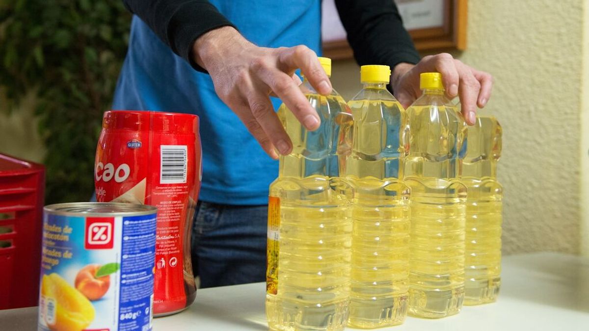 El Banco de Alimentos de Valencia distribuirá 566.000 kilos de alimentos a 6.000 familias El Banco de Alimentos de Valencia distribuirá 566.000 kilos de alimentos a 6.000 familias