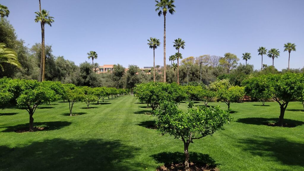 4.Vista de uno de los jardines de La Mamounia, considerado mejor hotel del mundo este año. Foto ANTONIO NAVARRO AMUEDO