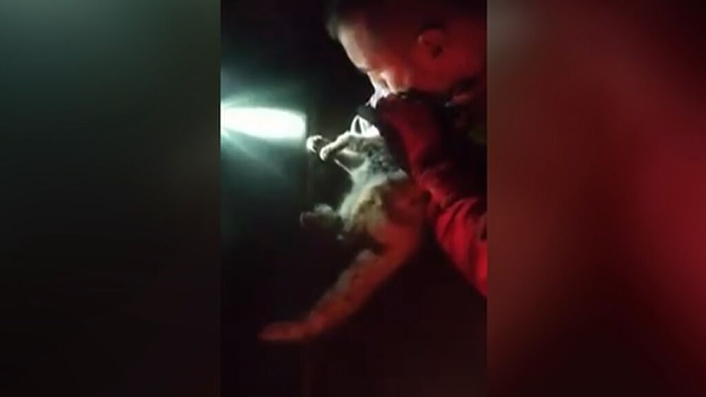 Un militar de la UME salva la vida de un gato que estaba en shock tras inhalar humo del volcán de La Palma
