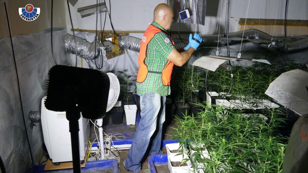 Detenidos el ‘Kay’ y su novia cuando transportaban bolsas de marihuana en Bilbao Detenidos el ‘Kay’ y su novia cuando transportaban bolsas de marihuana en Bilbao