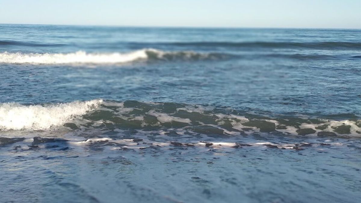Muere un bañista ahogado en una playa de Fuengirola Muere un bañista ahogado en una playa de Fuengirola