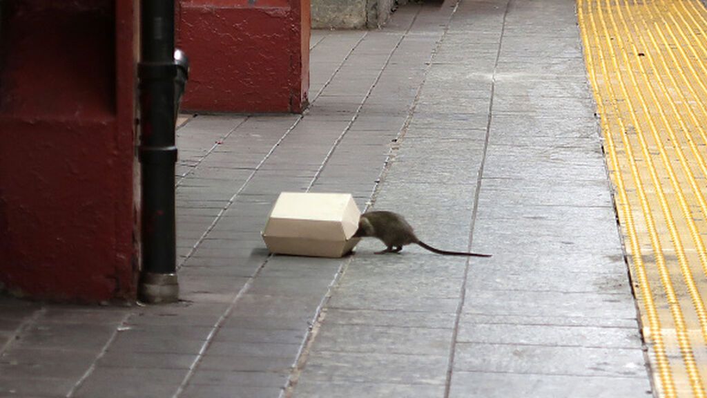 gettyimages-808810030-594x594