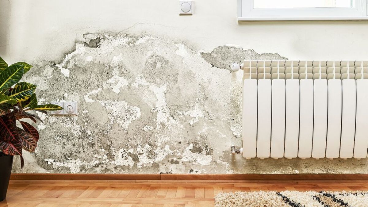 Los trucos definitivos para eliminar la humedad de la pared por completo: los pasos de cómo debes hacerlo.