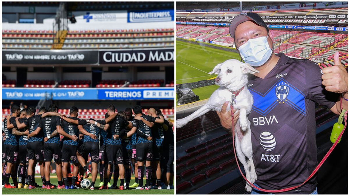 El estadio mexicano de La Corregidora hace historia: dejará a sus aficionados acudir a los partidos con sus mascotas El estadio mexicano de La Corregidora hace historia: dejará a sus aficionados acudir a los partidos con sus mascotas