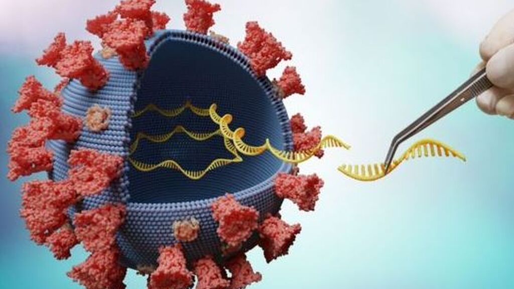 El epidemiólogo Joan Caylà avisa que la subvariante delta ya está en España