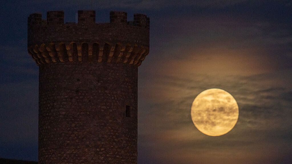 gettyimages-1236001372-594x594