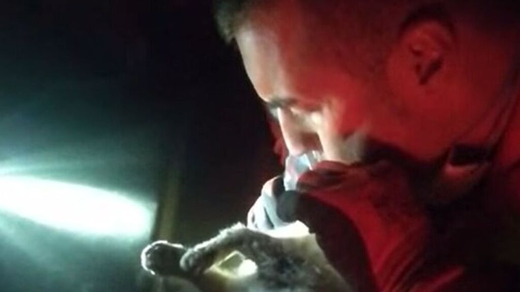 Un trabajador de la UME que ha reanimado a un gato en La Palma