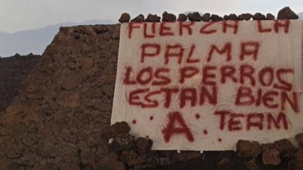 El Pevolca califica de "imprudencia temeraria" el rescate de los podencos de La Palma