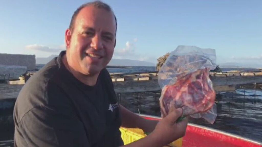 Chuletas entre bateas: el proyecto de un carnicero que madura la rubia galega en el fondo del mar