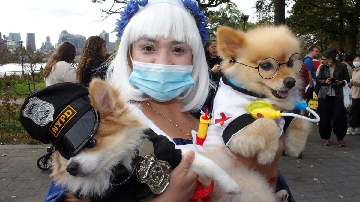 El espectacular desfile de disfraces de Halloween (de perros) que se ha celebrado en Nueva York
