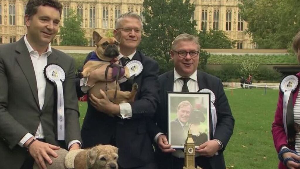 Vivienne, la mascota del diputado asesinado David Amess, elegida Perro del Año en Westminster