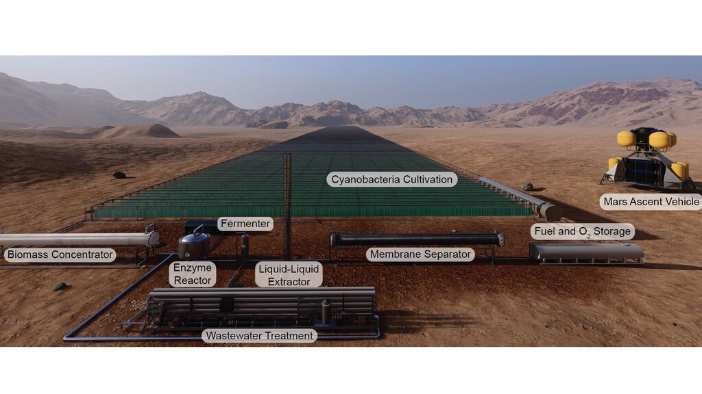 Bio-ISRU on Mars