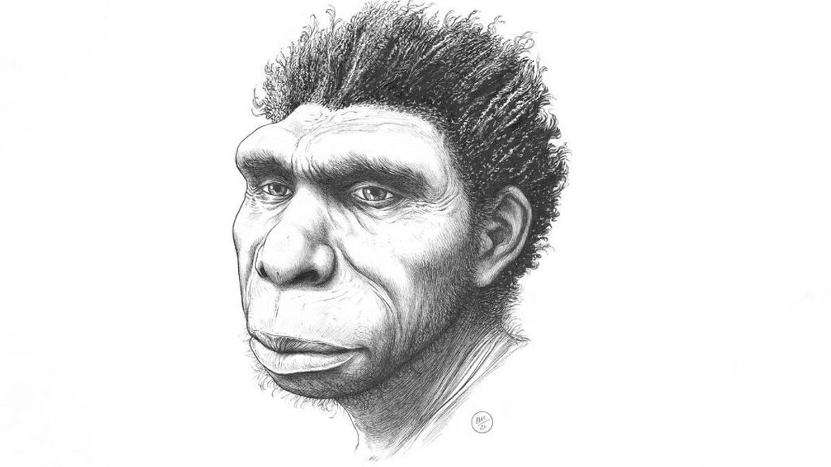 Así era el antepasado directo de los humanos modernos descubierto en África