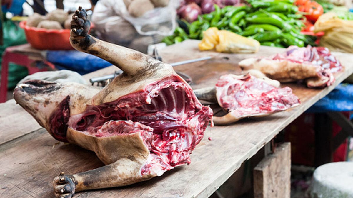 Bofetada al mercado de la "carne de perro" asiático