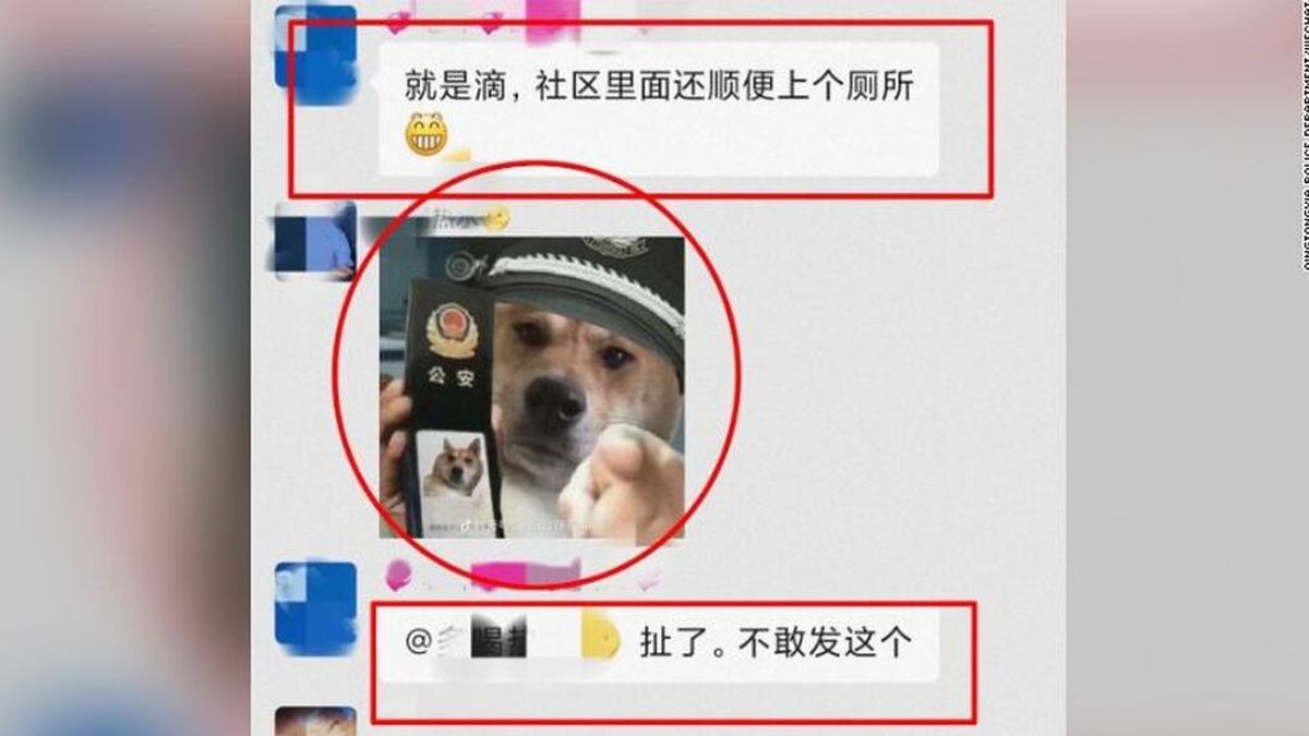 Pasa nueve días en la cárcel por insinuar que los policías chinos son unos "perros"