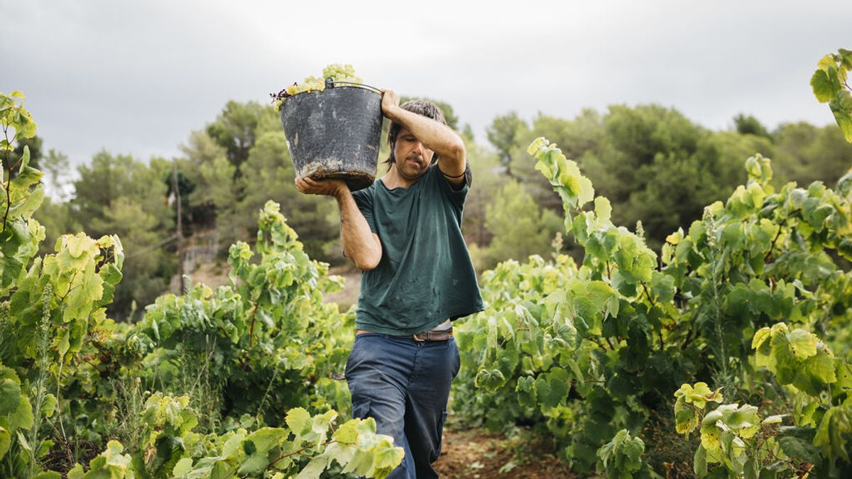 La temporalidad en España: 50.000 contratos eventuales o por obra al día frente a 6 indefinidos La temporalidad en España: 50.000 contratos eventuales o por obra al día frente a 6 indefinidos