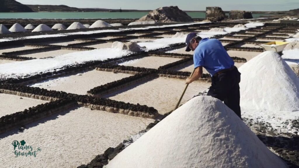 Gastronomía, ingredientes y platos característicos de Lanzarote