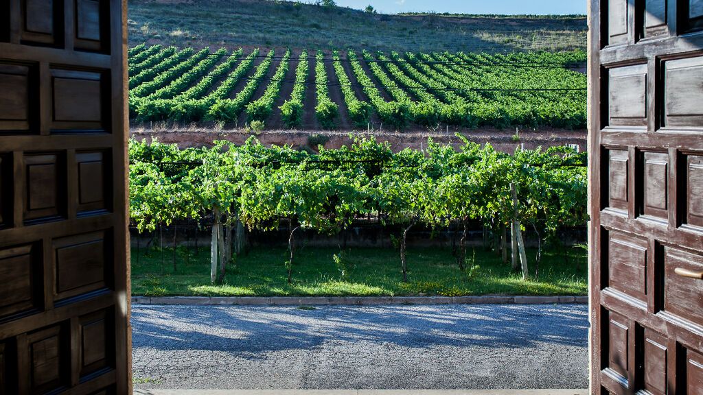 Viñedo Finca Montaña