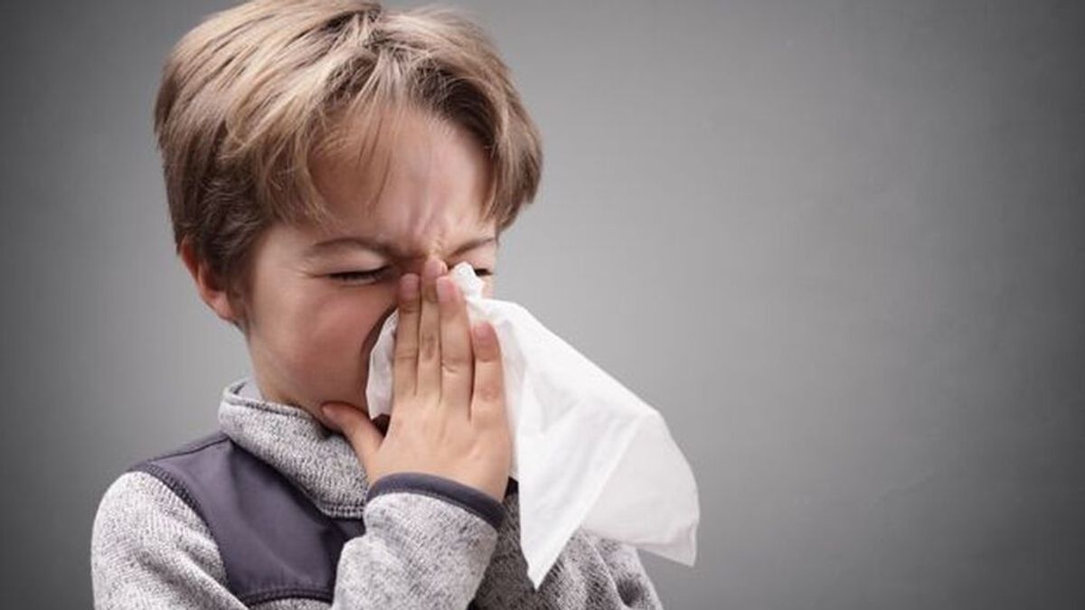 No todo estornudo es sinónimo de coronavirus: estos son los virus más abundantes en invierno