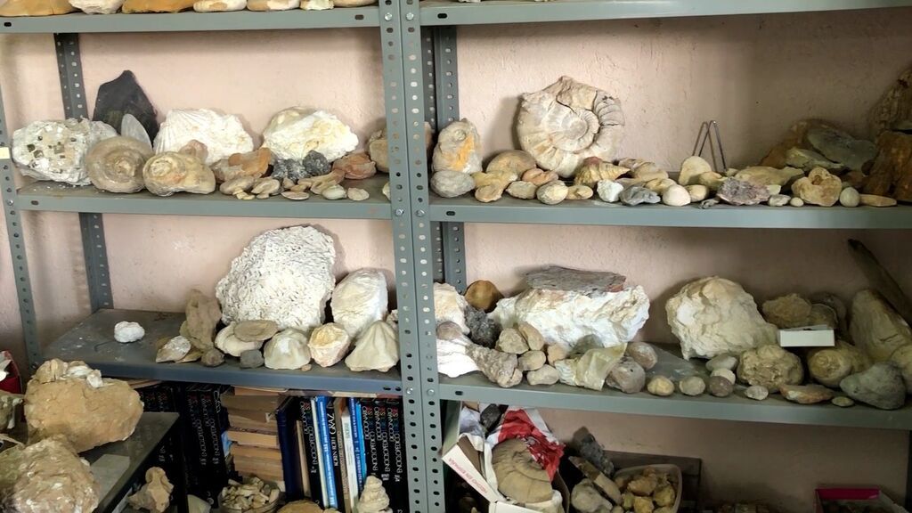 Intervienen centenares de fósiles expoliados en yacimientos catalanes en el domicilio de un coleccionista