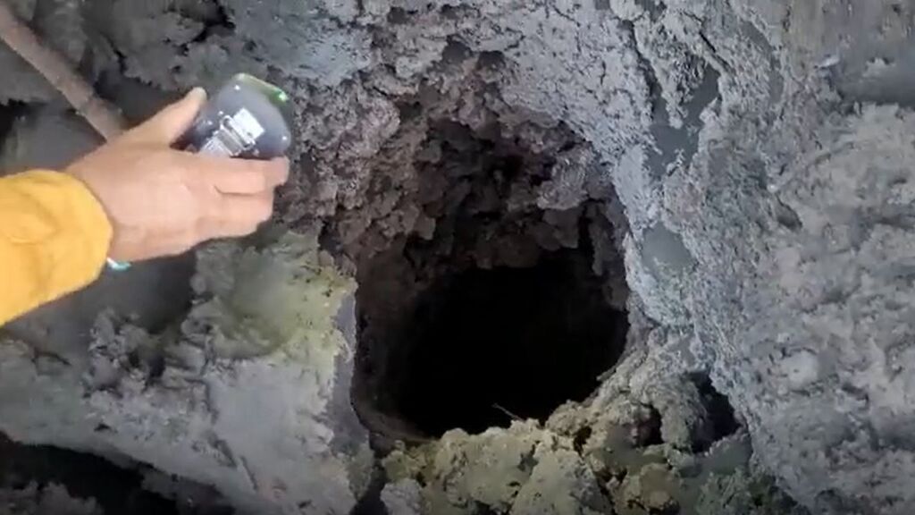 Los árboles de La Palma dejan "chimeneas" naturales que permiten medir los gases de las coladas de lava