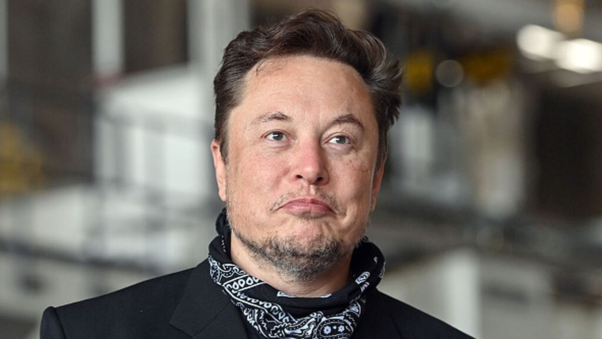 Elon Musk hace una encuesta en Twitter sobre la venta del 10% de Tesla y las acciones se desploman