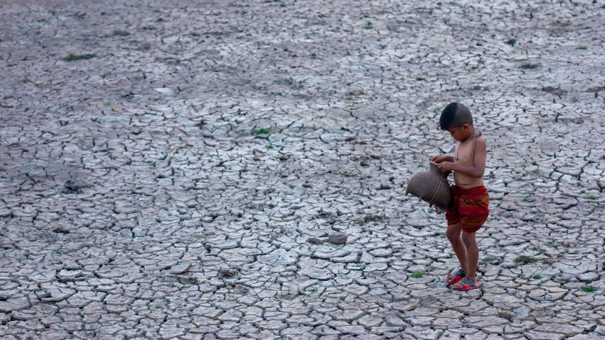 Un informe presentado en la COP26 apunta a un "desastroso" aumento de la temperatura global de 2,4ºC Un informe presentado en la COP26 apunta a un "desastroso" aumento de la temperatura global de 2,4ºC