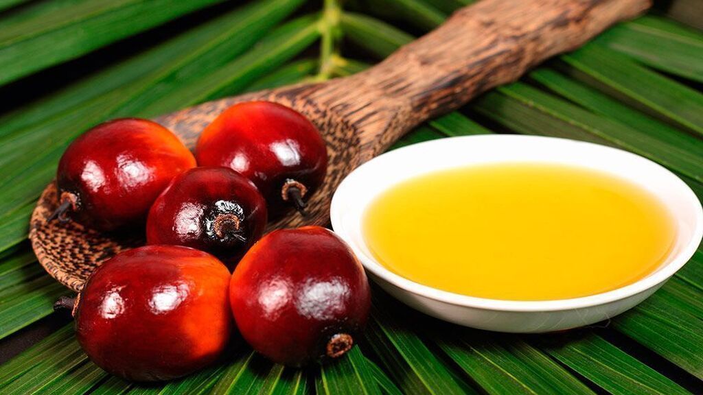 Un ácido graso de aceite de palma aumenta la probabilidad de que se propague el cáncer